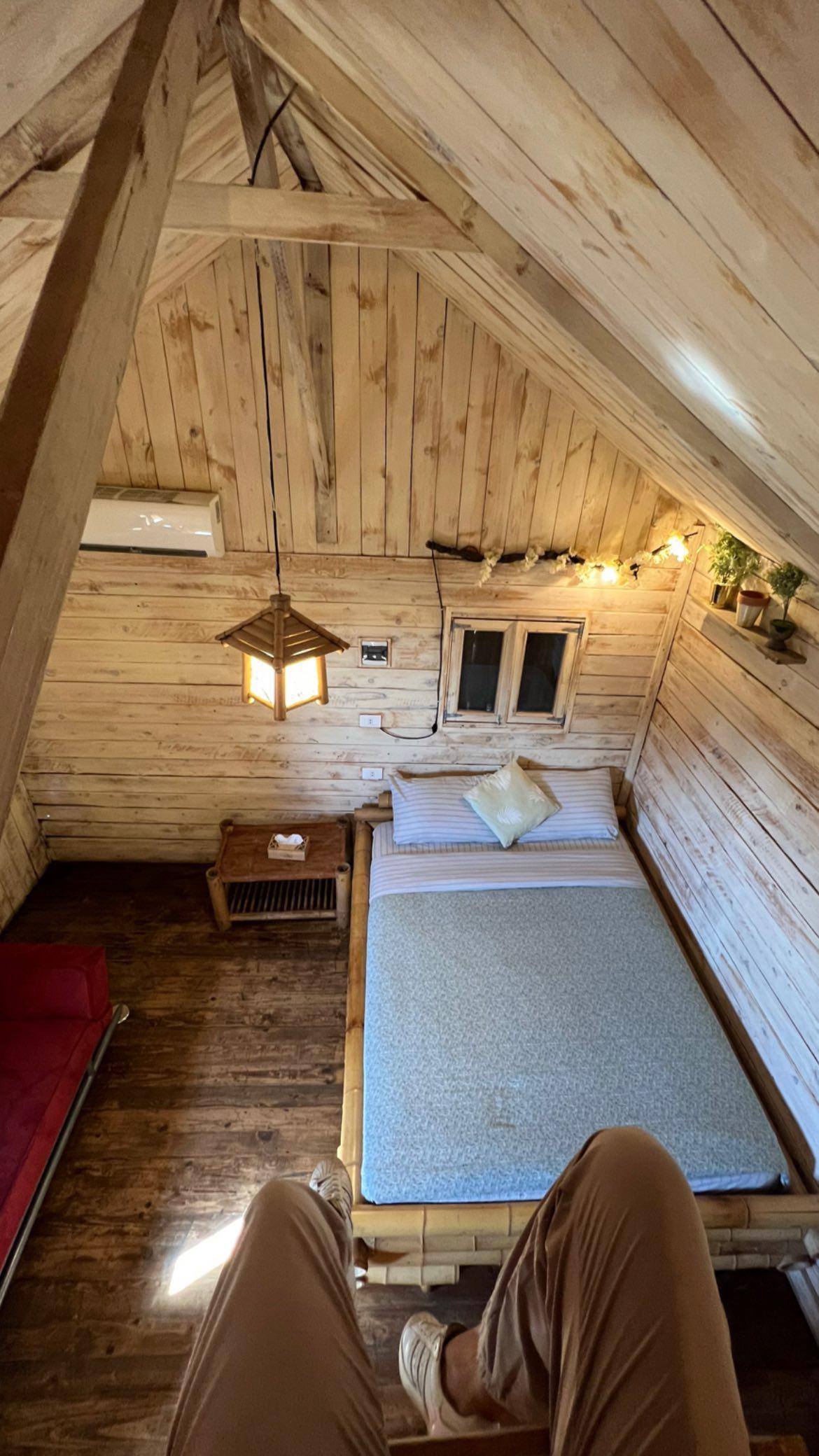 Large Cabin 5