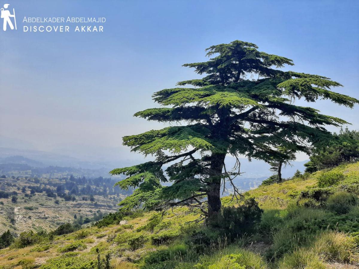 درب سفح عروبا – العزر- عكار