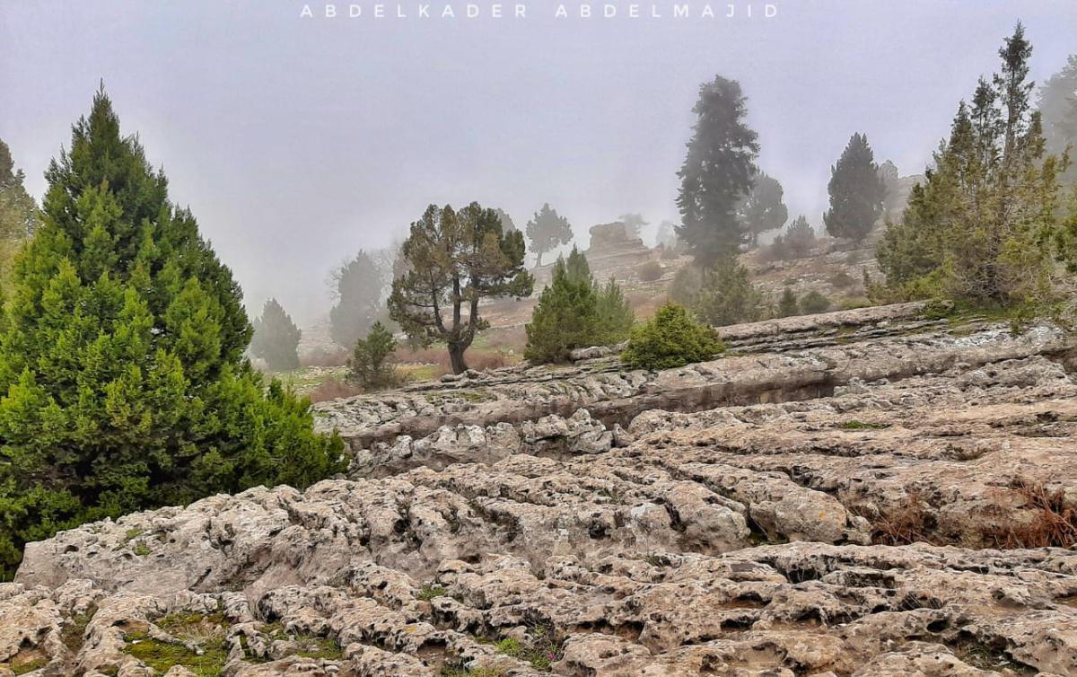 درب سفح عروبا – العزر- عكار