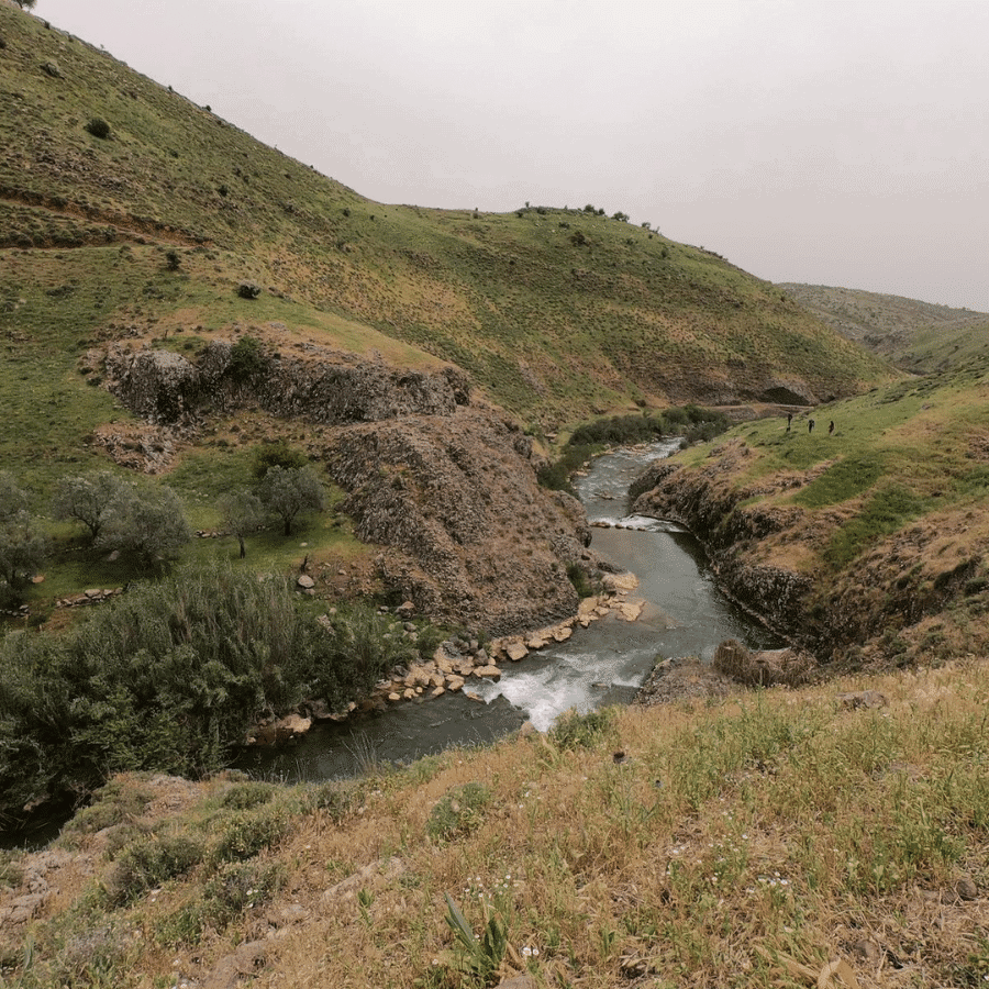 نهر الحاصباني