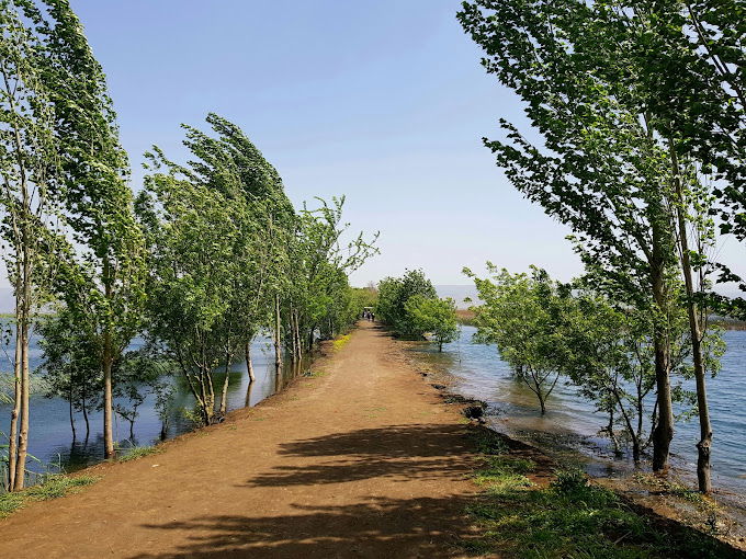 Ammiq Wetlands