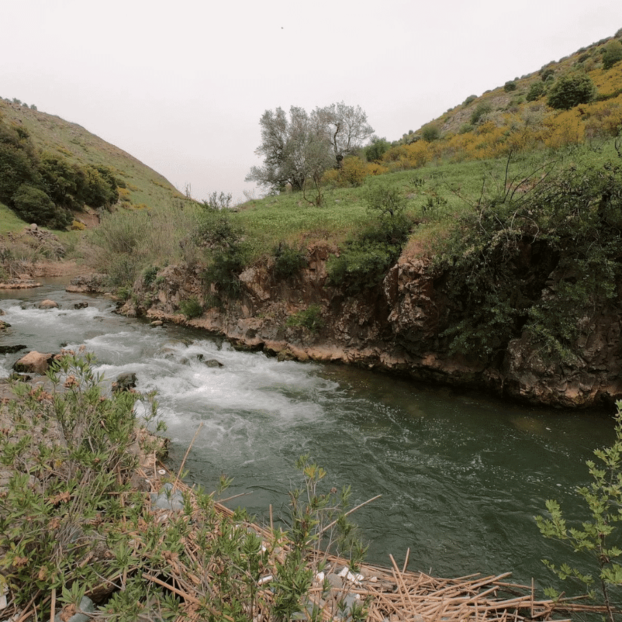 نهر الحاصباني