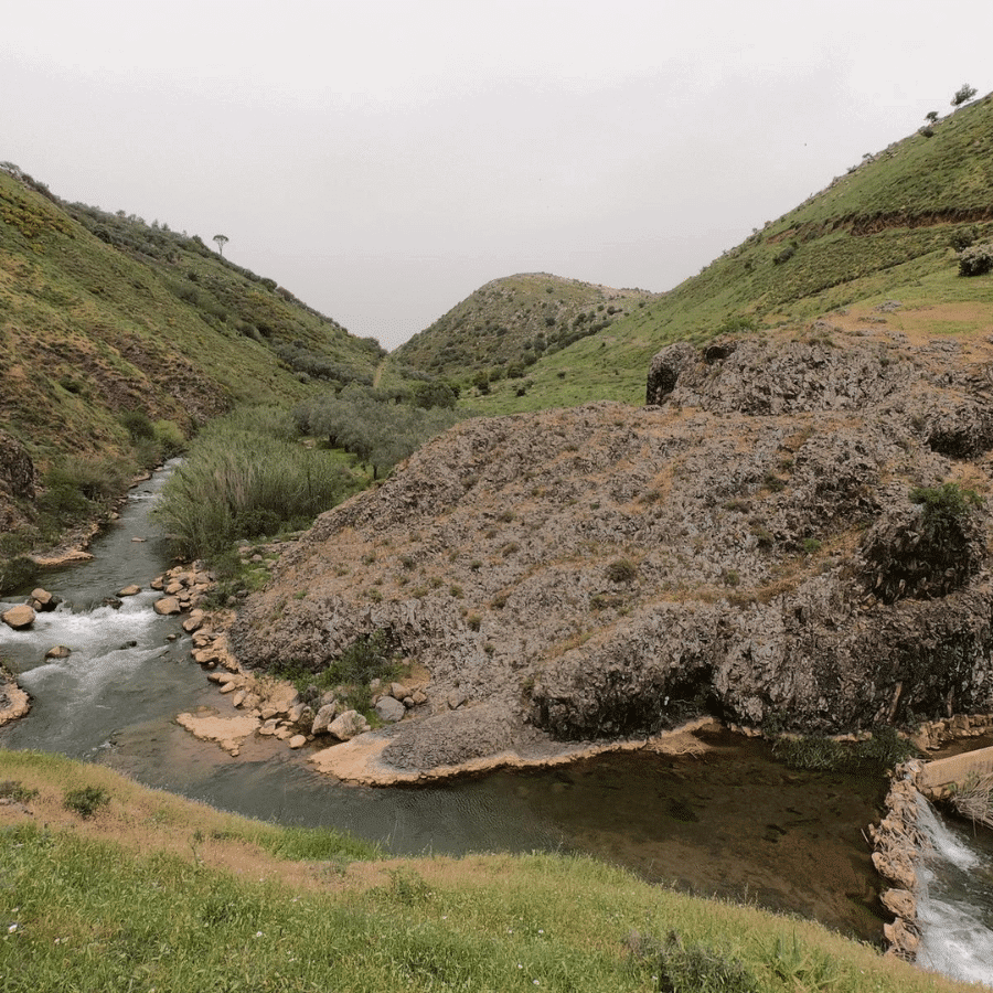 نهر الحاصباني