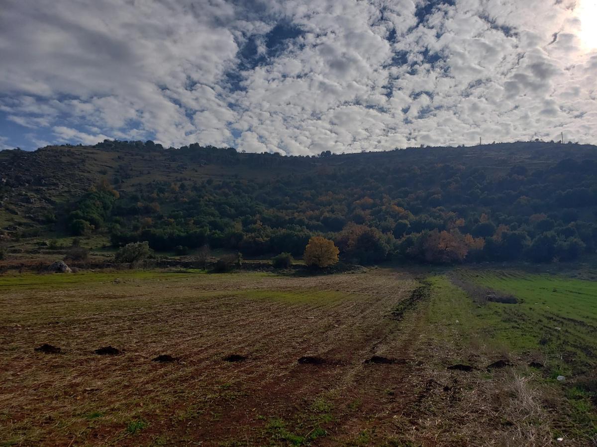 View from Majdal Balhis