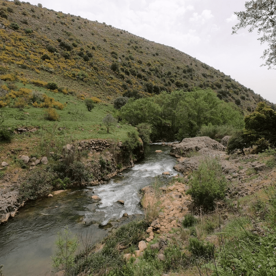 نهر الحاصباني