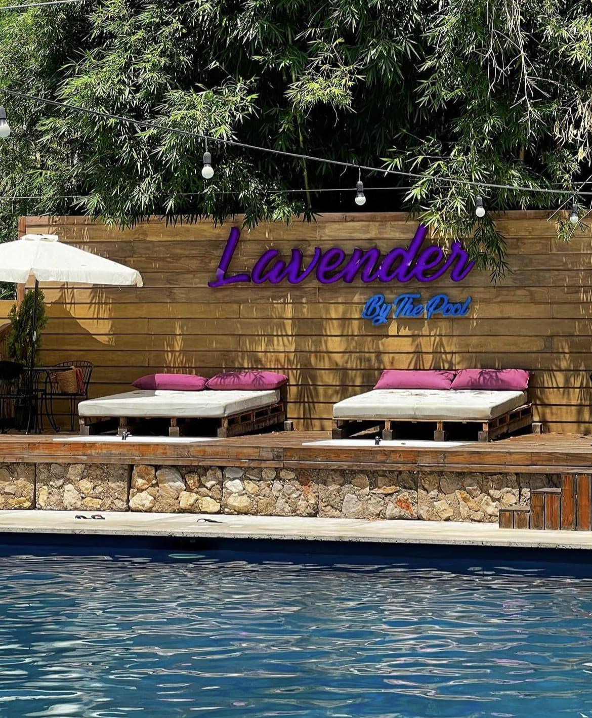 Lavender by the Pool