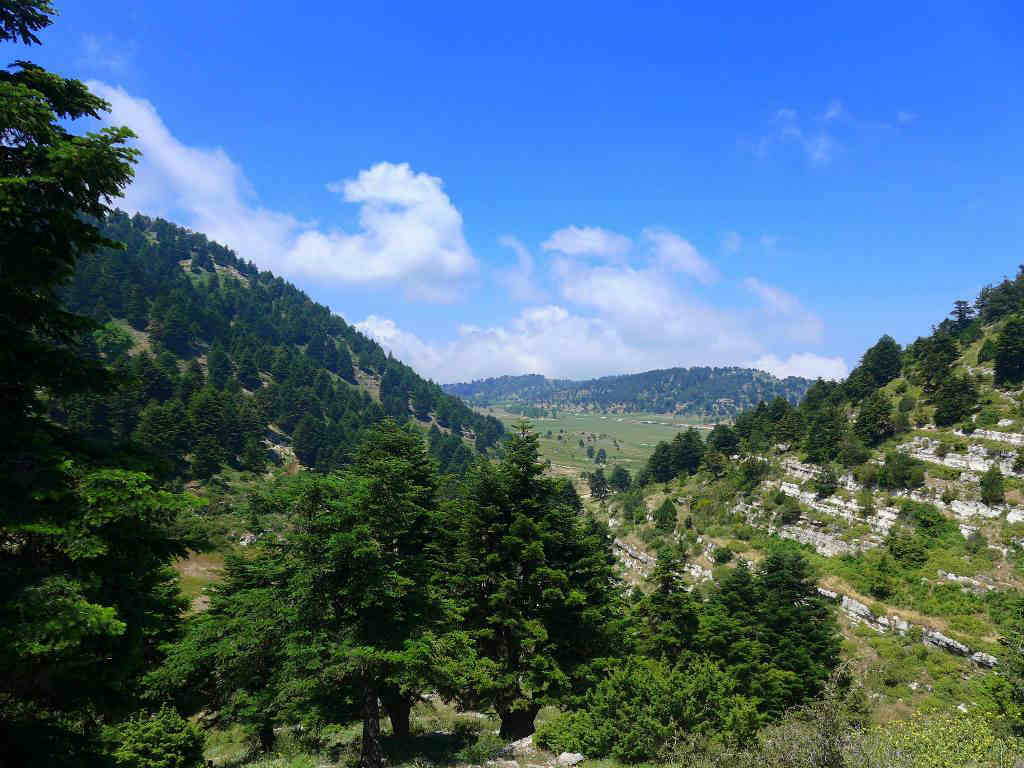 Akkar