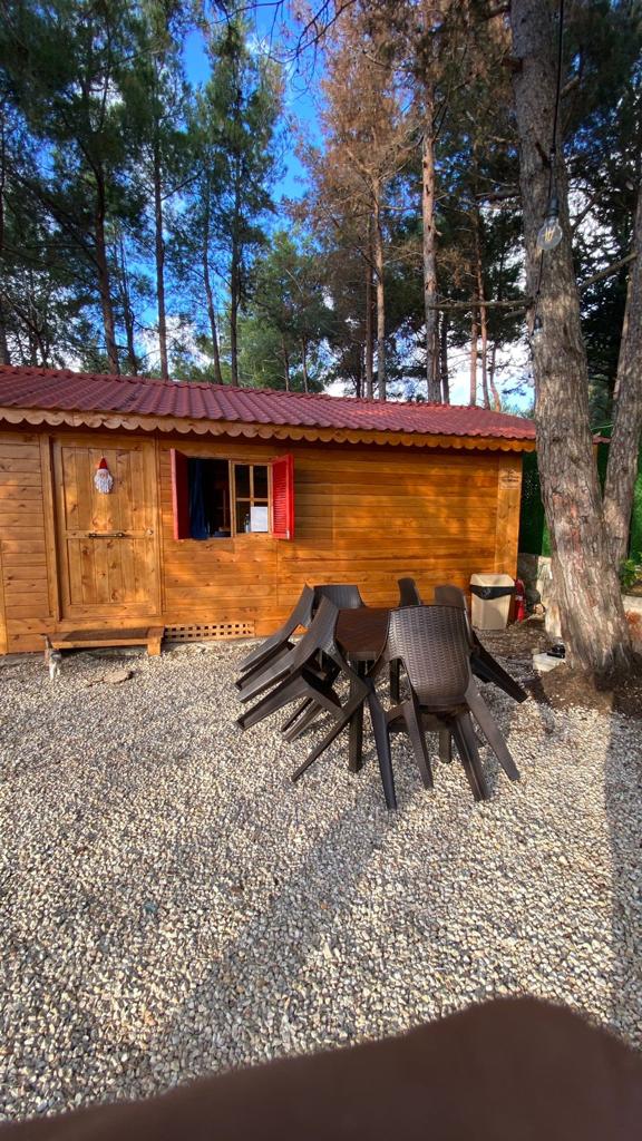 Blue Jay Wooden Cabin – Mazboud, el Chouf