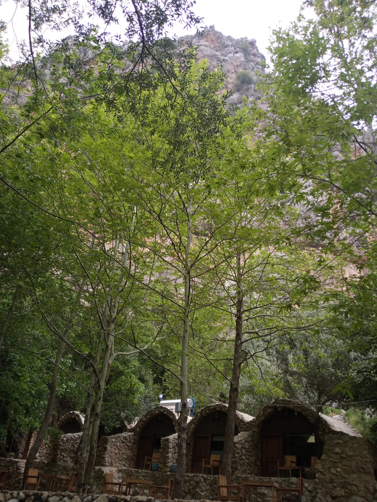 Cave Three – Tannourine el Tahta