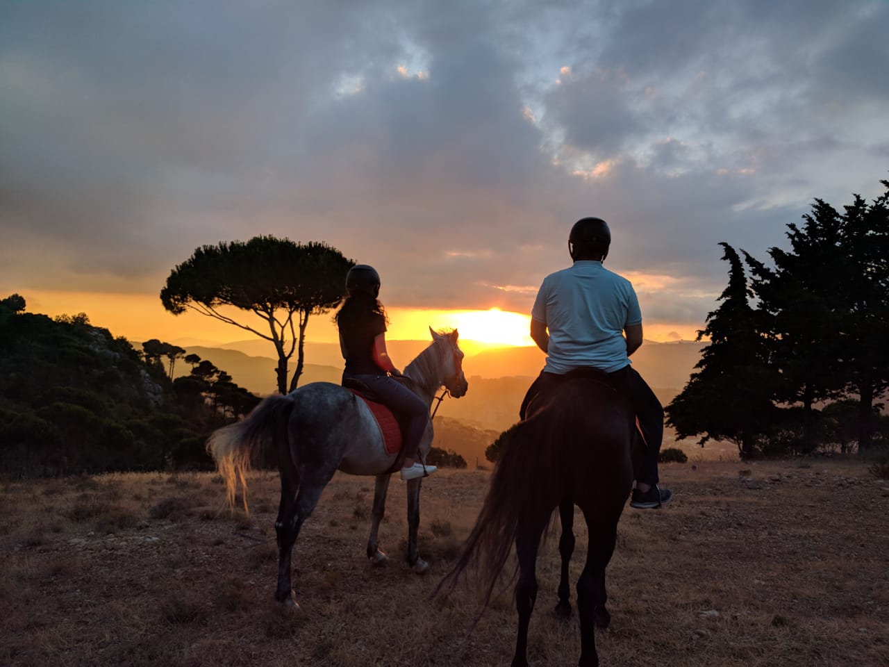 Cedars Trail Riding